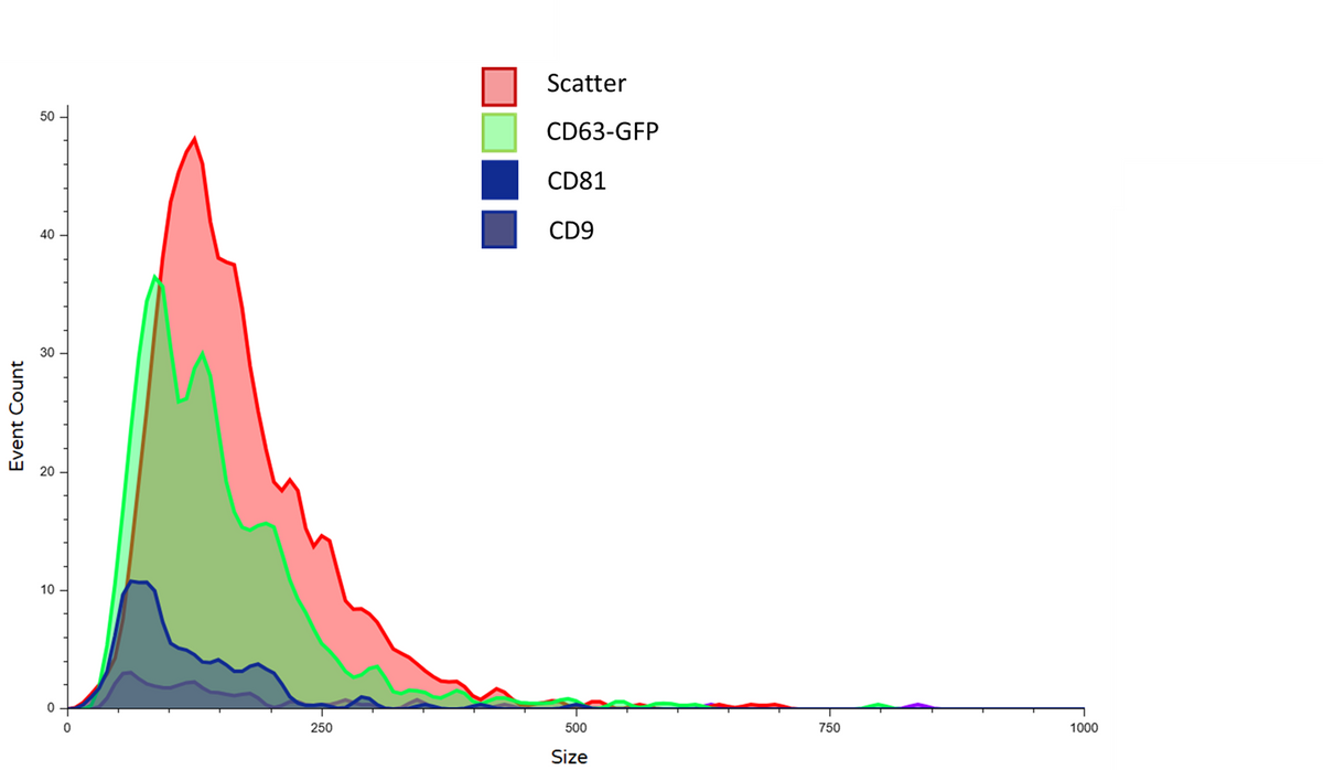 F-NTA CD81 Detection Antibody – Particle Metrix Inc.